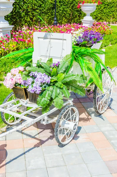 Flower trolley — Stock Photo, Image
