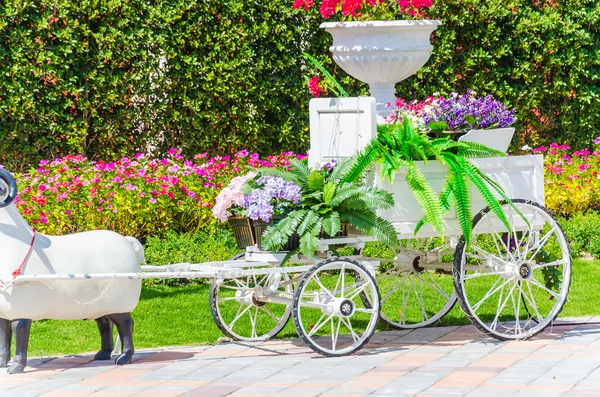 Flower trolley — Stock Photo, Image