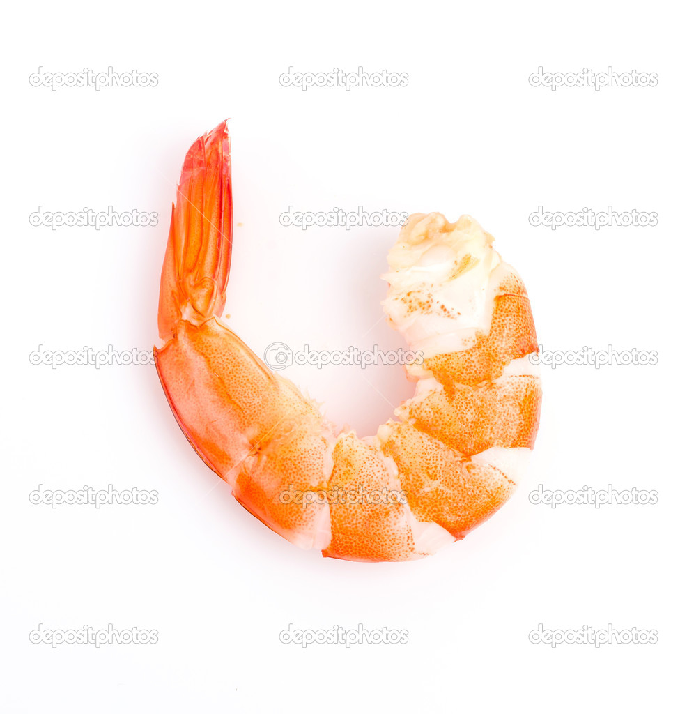 Shrimp on white