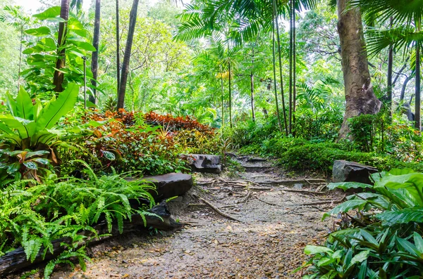 Nel parco del giardino — Foto Stock