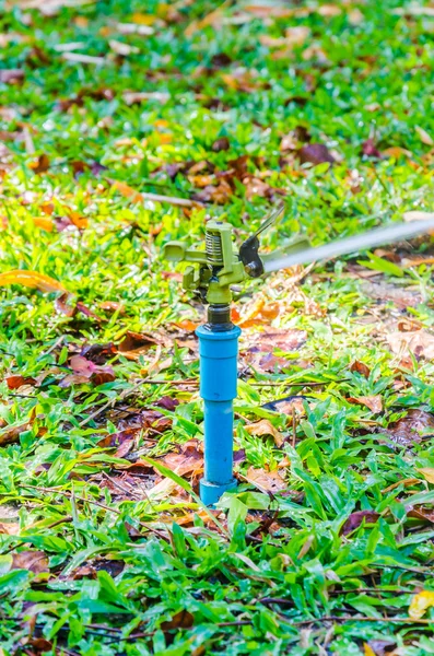 Sprinkler head watering — Stock Photo, Image