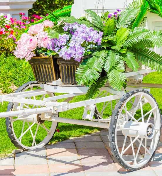 Flower trolley — Stock Photo, Image