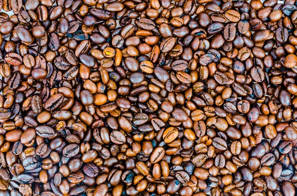 Coffee beans — Stock Photo, Image