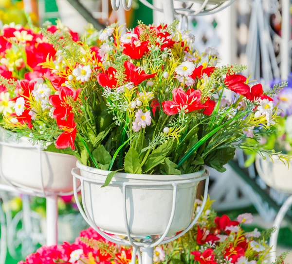 Flowers — Stock Photo, Image