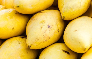 Sarı mango