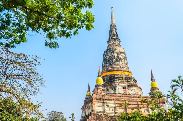 ワット ヤイ chaimongkol 寺院 — ストック写真