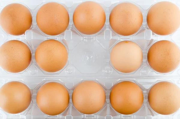 Packed eggs — Stock Photo, Image