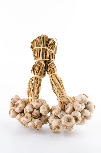 Garlic on white — Stock Photo, Image