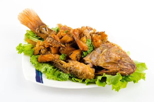 泰国菜的煎鱼 — 图库照片
