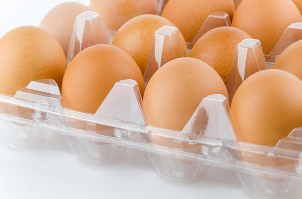 Packed eggs — Stock Photo, Image