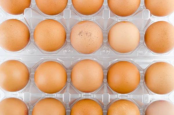 Packed eggs — Stock Photo, Image