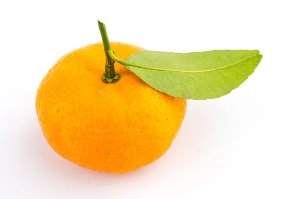 Orange on white — Stock Photo, Image