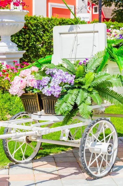 Flower trolley — Stock Photo, Image