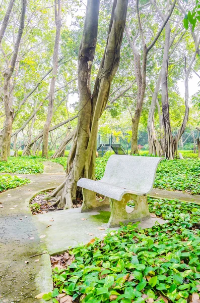 Bänk i parken — Stockfoto