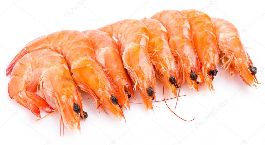 Shrimps on white