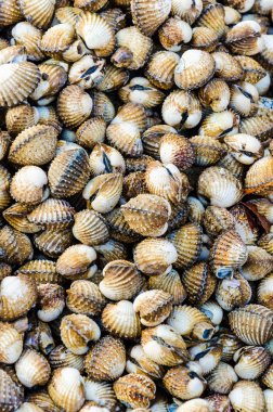 tarak arka plan dokusu