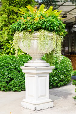 Cam vazo içinde iç ağaç