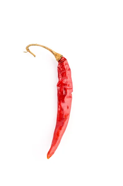 Сушений червоний перець чилі — стокове фото