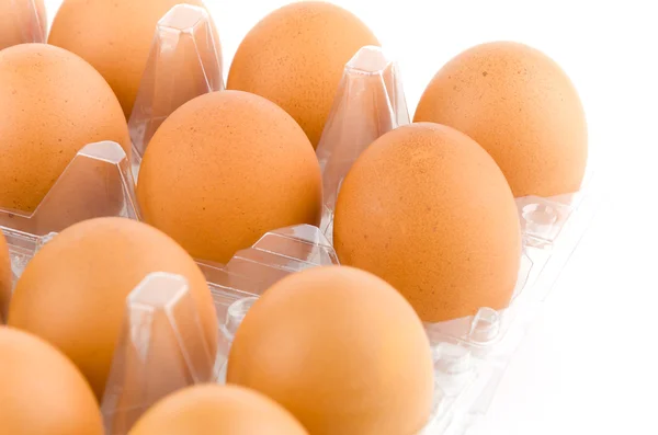 Packed eggs — Stock Photo, Image