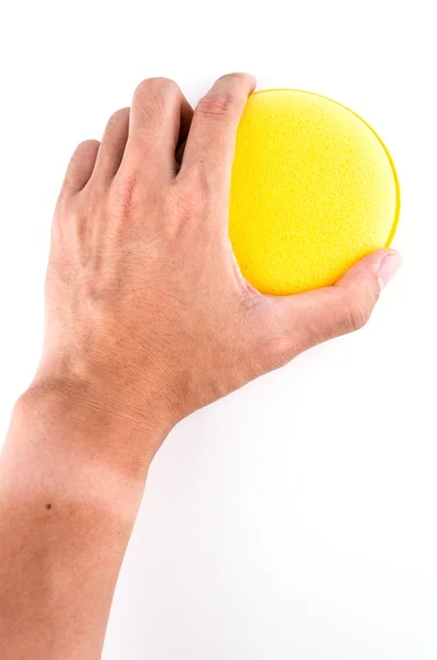 Hand som håller svamp — Stockfoto