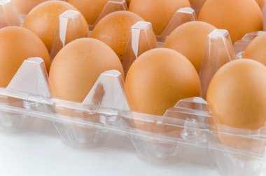 paketlenmiş yumurta