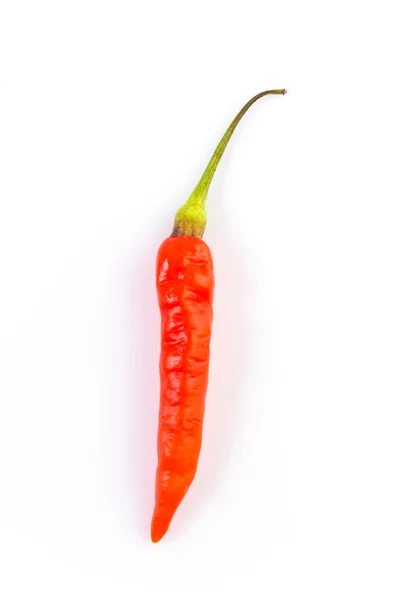 Pepper chilli — Stock Photo, Image