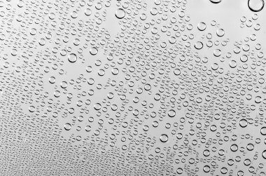 siyah ve beyaz zemin üzerine su damlaları