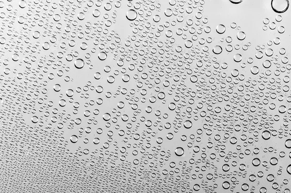 Gotas de agua sobre fondo blanco y negro — Foto de Stock