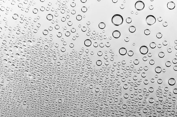 Gocce d'acqua su sfondo bianco e nero — Foto Stock