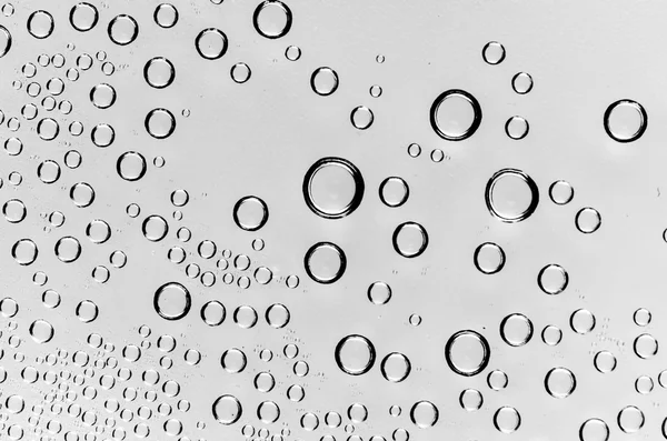 Gotas de agua sobre fondo blanco y negro — Foto de Stock