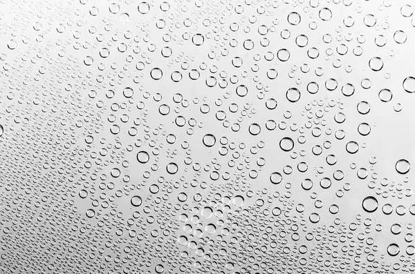 Gotas de água no fundo preto e branco — Fotografia de Stock