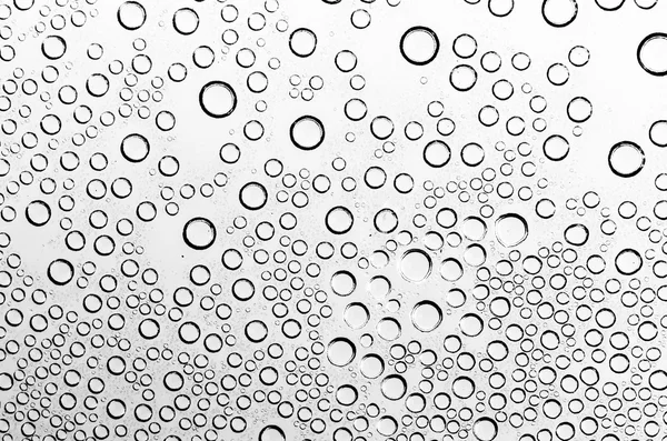 Gotas de água no fundo preto e branco — Fotografia de Stock