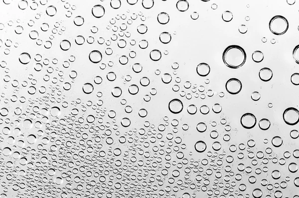 Gotas de água no fundo preto e branco — Fotografia de Stock