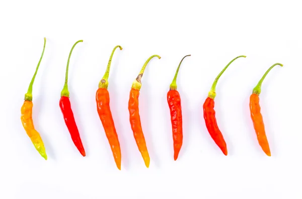 Pepper chilli — Stock Photo, Image