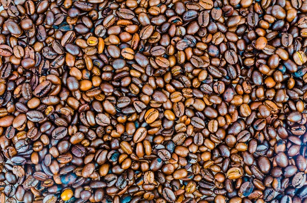 Kaffeebohnen — Stockfoto