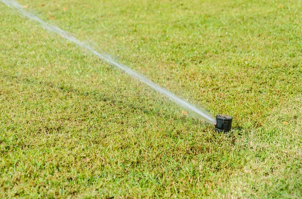 Cospargere su erba verde — Foto Stock