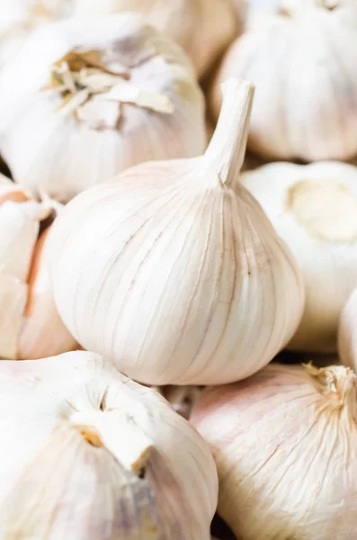 Garlic — Stock Photo, Image