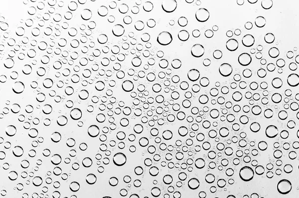 Gotas de água em preto e branco — Fotografia de Stock