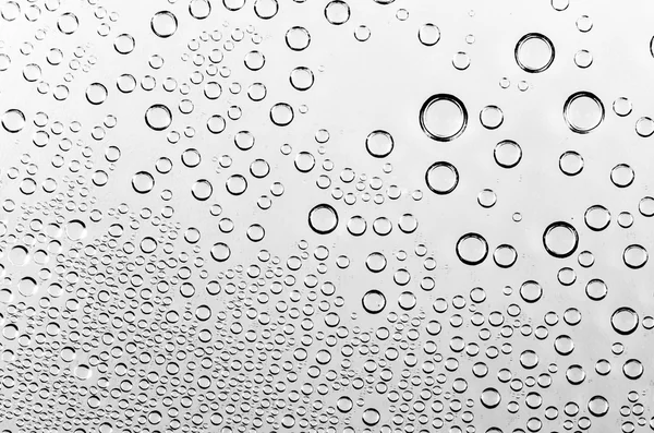 Water drops on black and white — Stock Photo, Image