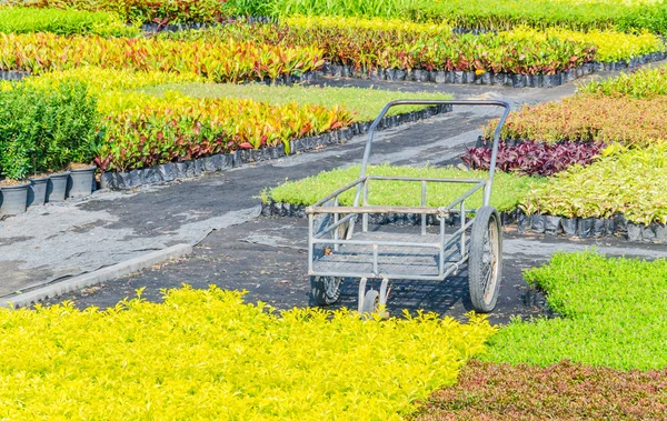 Garten — Stockfoto