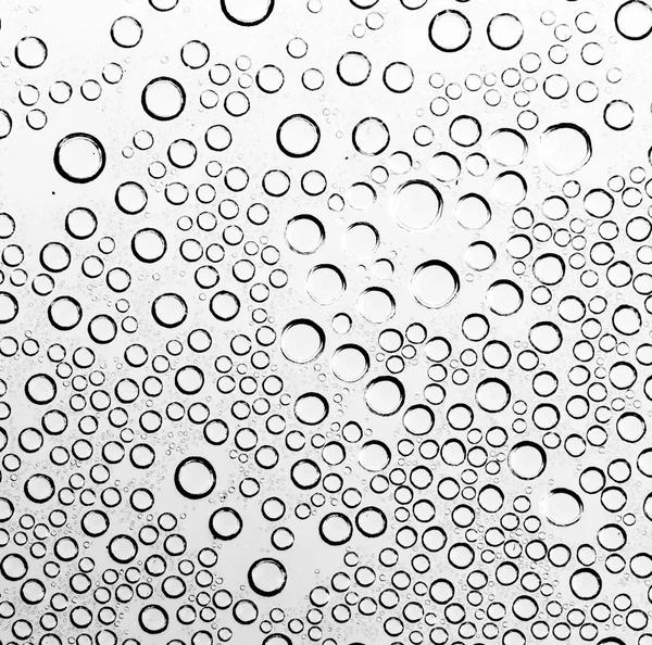 Gotas de agua sobre fondo blanco y negro — Foto de Stock