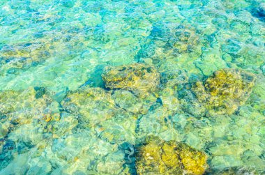 Pattaya 'daki Koh Larn plaj adası.