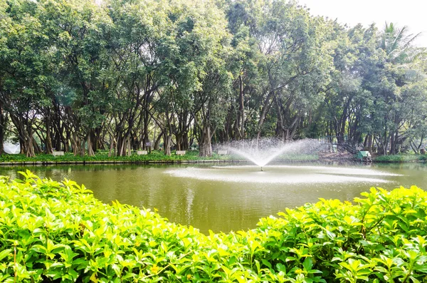 Parco della fontana — Foto Stock