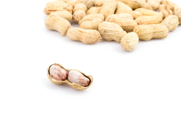 Peanut — Stock Photo, Image