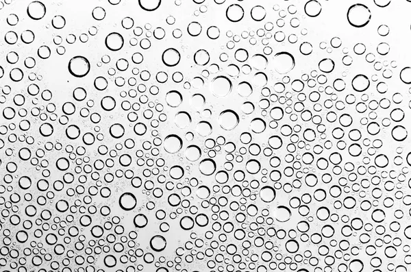 Gotas de agua en blanco y negro — Foto de Stock