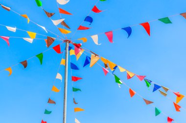 renk parti bayrakları