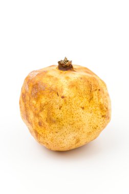 Nar meyve çürüklüğü