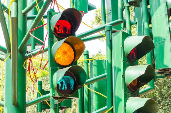 Ampelschaltung — Stockfoto