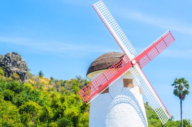 Bahçedeki yel değirmeni