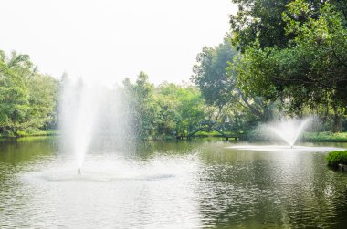 Çeşme Parkı